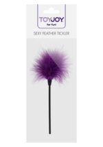 Šteklítko ToyJoy SEXY FEATHER TICKLER PURPLE – Obrázok 2