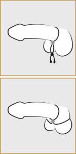 Bad Kitty cock & ball loop – Obrázok 2