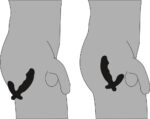 Rebel Cock shaped vibe – Obrázok 6