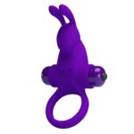 PRETTY LOVE - VIBRANT PENIS RING I fialový