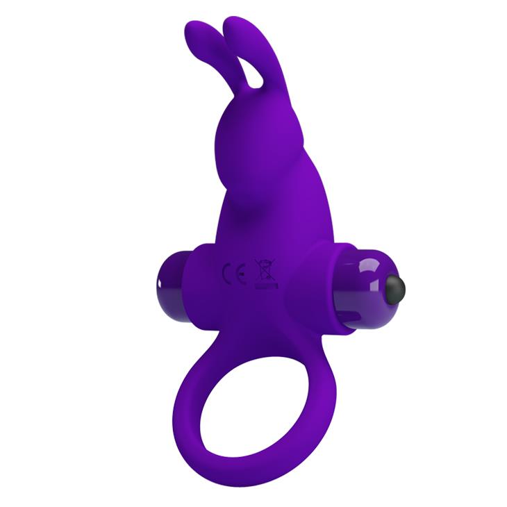 BI-210204-1 PRETTY LOVE - VIBRANT PENIS RING I fialový – Obrázok 1