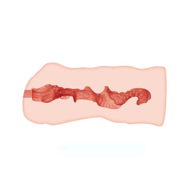 CRAZY BULL - Linda - masturbátor 13,7 cm – Obrázok 6